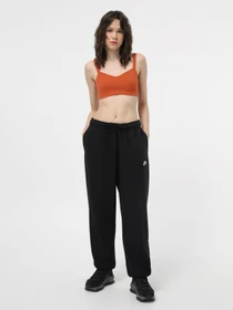 Штани NIKE Club Fleece модель DQ5800-010 Фото