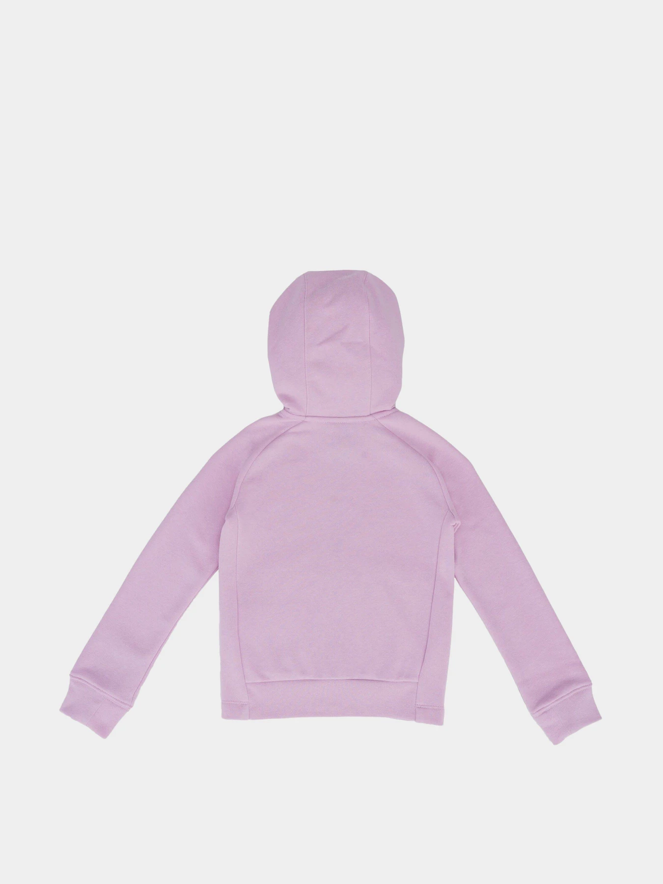 Худі та світшоти NIKE PE FULL ZIP модель 36F207-A54 Худі та світшоти NIKE PE FULL ZIP модель 36F207-A54 Фото