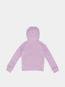 Худі та світшоти NIKE PE FULL ZIP модель 36F207-A54 Фото