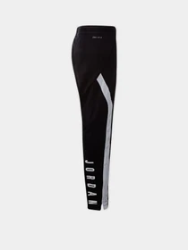 Брюки NIKE Jordan 23 Alpha Dry модель 954941-K25 Фото