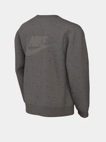 Худи и свитшоты NIKE Sportswear Icon модель DQ9002-210 Фото