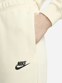 Брюки NIKE Sportswear Club модель DQ5191-113 Фото