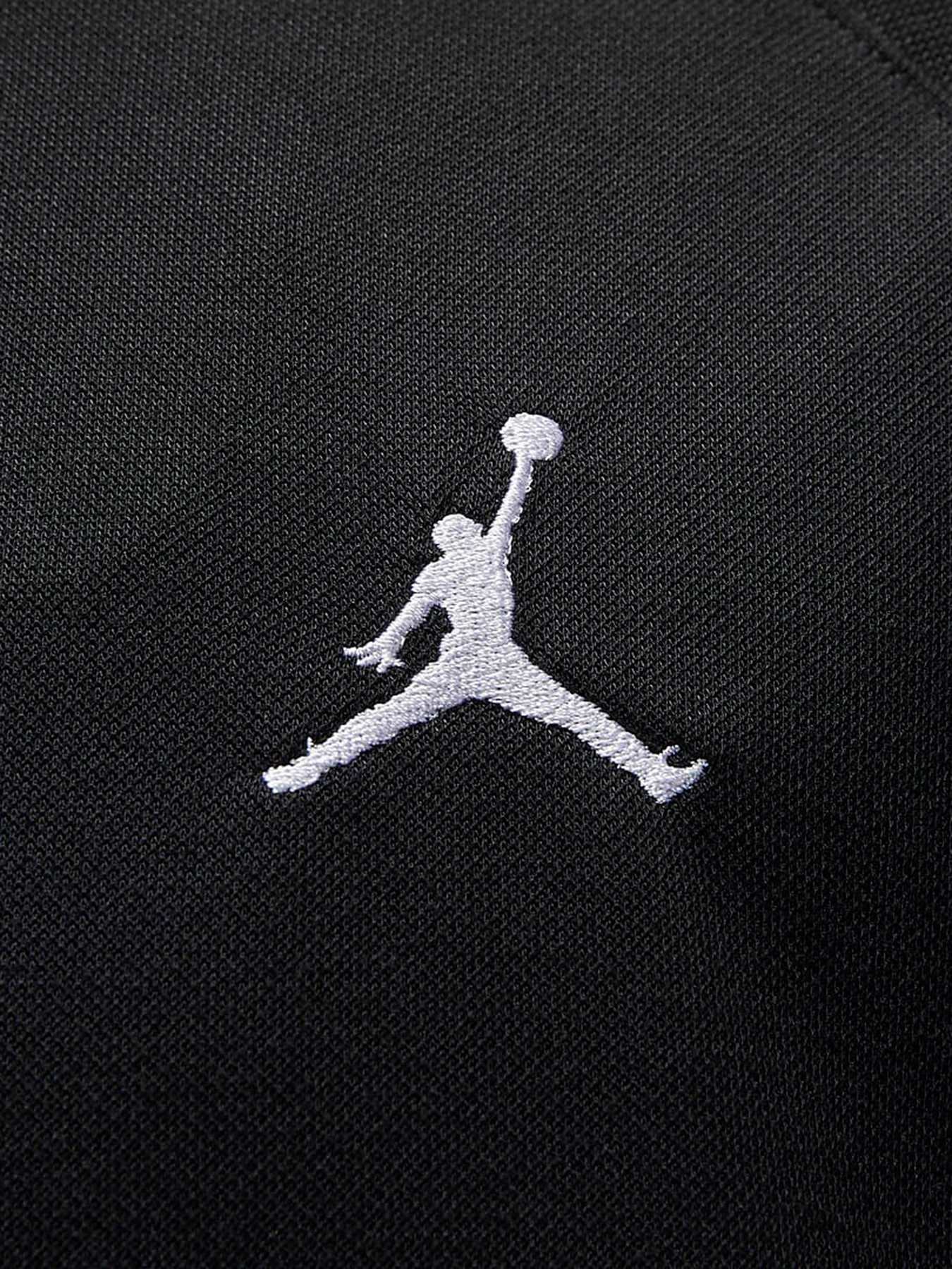Футболки и поло NIKE Jordan Dri-FIT Sport модель DZ0540-010 Фото