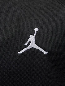Футболки и поло NIKE Jordan Dri-FIT Sport модель DZ0540-010 Фото