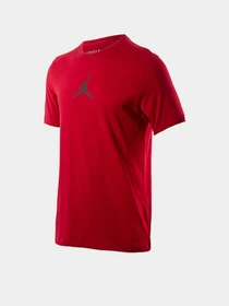 Футболки и поло NIKE Air Jordan Jumpman Dri-FIT модель CW5190-687 Фото
