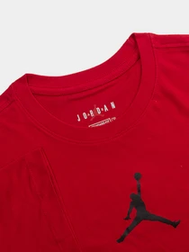 Футболки и поло NIKE Air Jordan Jumpman Dri-FIT модель CW5190-687 Фото