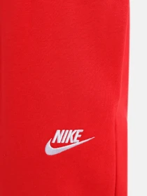 Брюки NIKE Sportswear Club модель DQ5191-657 Фото