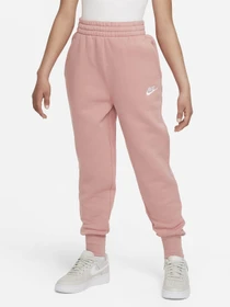 Брюки NIKE Sportswear Club Fleece модель FD2921-618 Фото