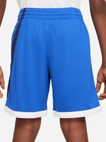 Шорты NIKE DRI-FIT модель DM8186-480 Фото