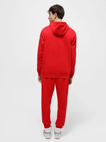 Костюми NIKE CLUB FLEECE GRAPHIC HOODED модель FB7296-657 Фото