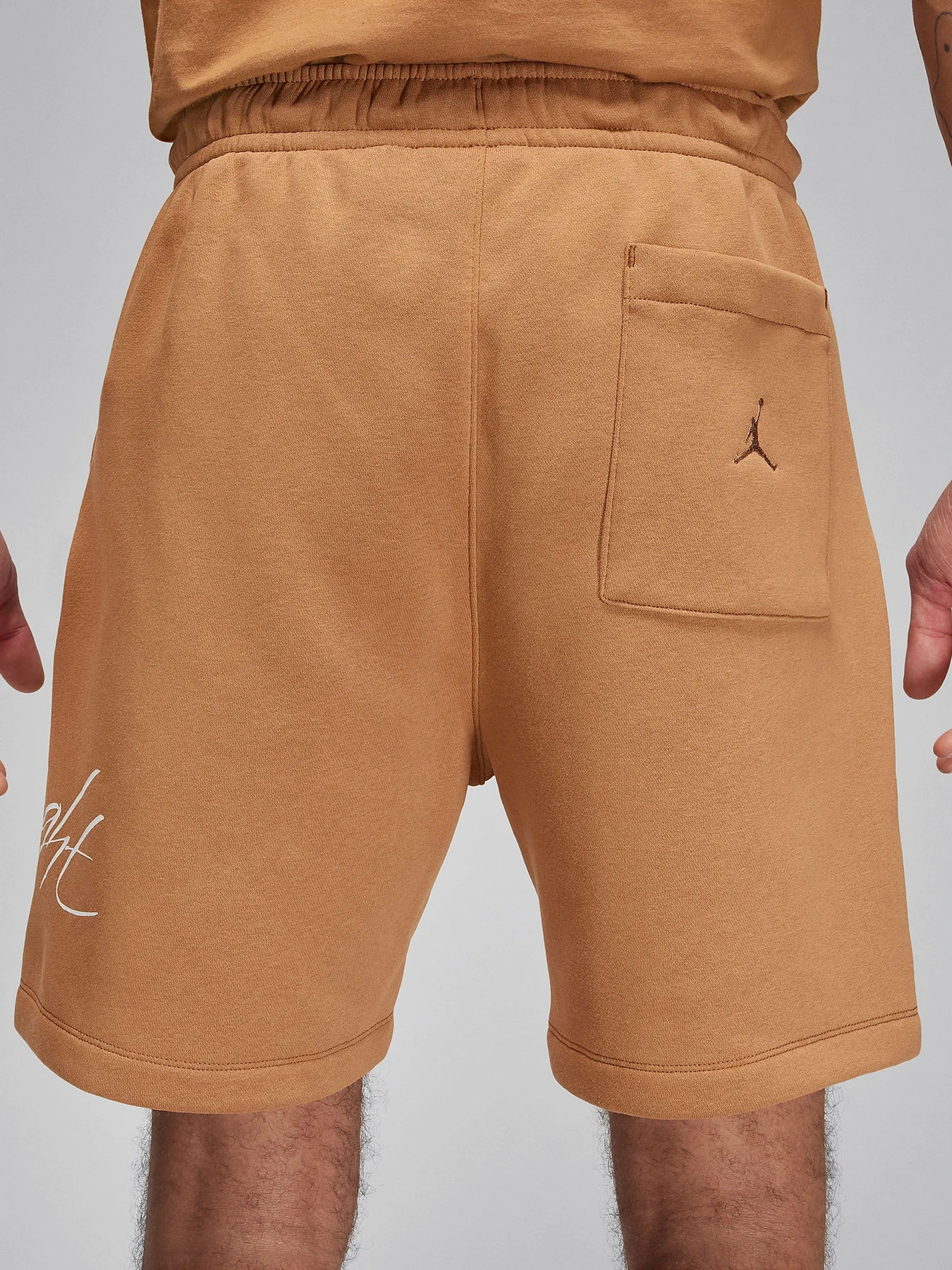 Шорты NIKE AIR JORDAN ESSENTIAL FLEECE HB модель FN4535-231 Фото