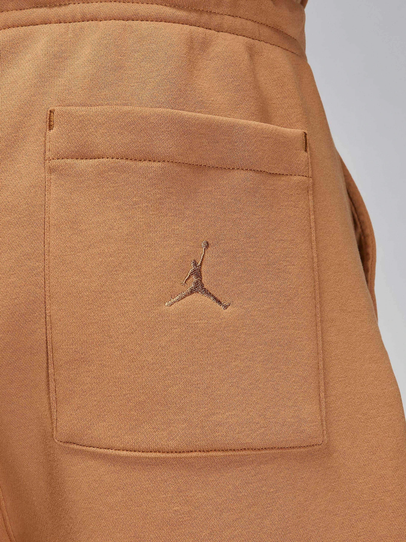 Шорты NIKE AIR JORDAN ESSENTIAL FLEECE HB модель FN4535-231 Фото