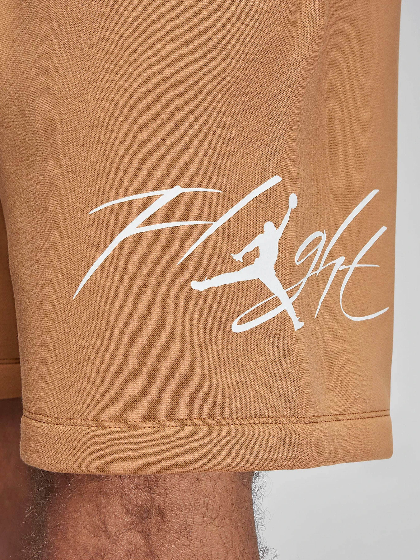 Шорты NIKE AIR JORDAN ESSENTIAL FLEECE HB модель FN4535-231 Фото