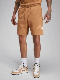 Шорты NIKE AIR JORDAN ESSENTIAL FLEECE HB модель FN4535-231 Фото