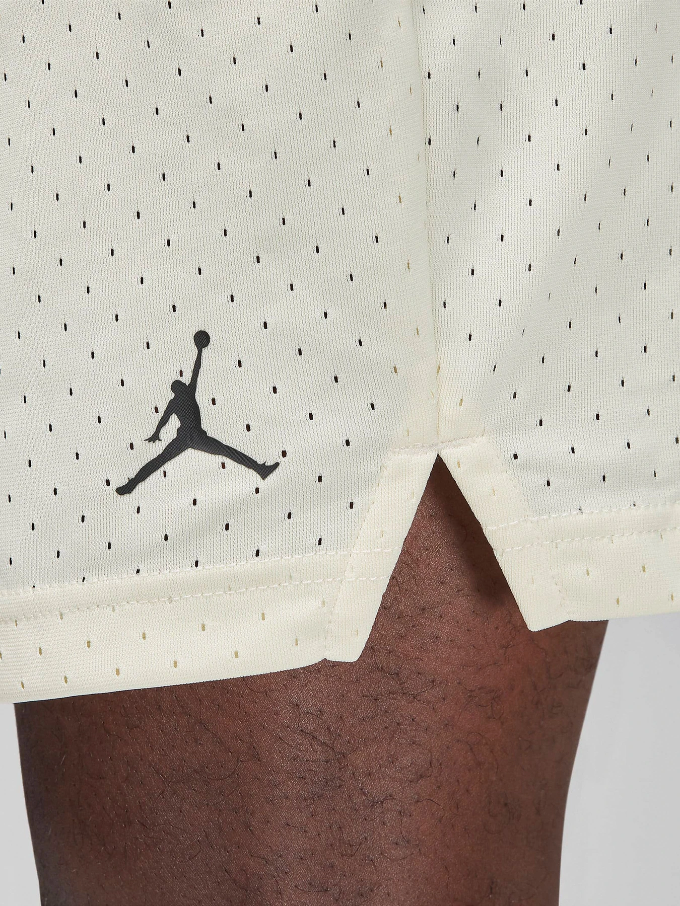 Шорты NIKE AIR JORDAN DRI-FIT модель FN5816-113 Шорты NIKE AIR JORDAN DRI-FIT модель FN5816-113 Фото