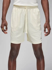 Шорты NIKE AIR JORDAN DRI-FIT модель FN5816-113 Фото