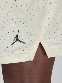 Шорты NIKE AIR JORDAN DRI-FIT модель FN5816-113 Фото