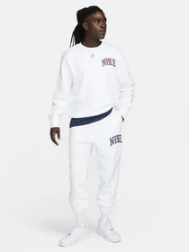 Брюки NIKE CLUB BB CF ARCH GX модель FV4453-100 Фото