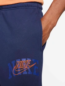Брюки NIKE CLUB BB CF PANT ARCH GX модель FV4453-410 Фото