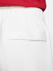 Штани NIKE SPORTSWEAR CLUB FLEECE модель BV2671-100 Фото