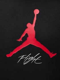 Худі та світшоти NIKE JORDAN ESSENTIALS модель FD7545-013 Фото