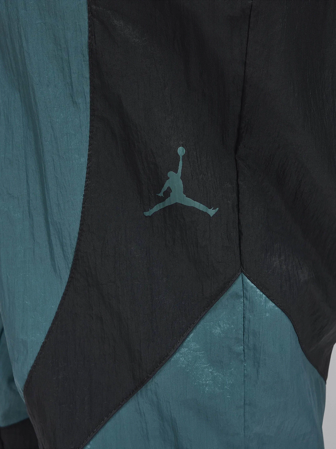Штани NIKE JORDAN SPORT JAM модель FN5850-366 Фото