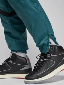Штани NIKE JORDAN SPORT JAM модель FN5850-366 Фото