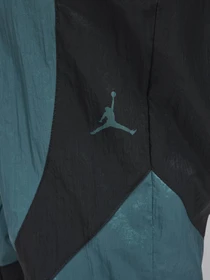 Штани NIKE JORDAN SPORT JAM модель FN5850-366 Фото
