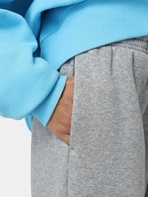 Штани NIKE SPORTSWEAR PHOENIX FLEECE модель FZ5996-063 Фото