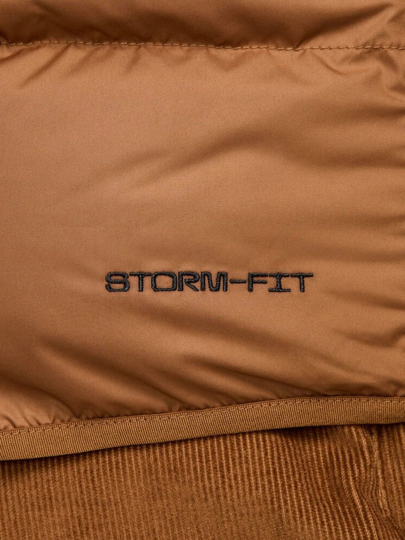 Куртки и дубленки NIKE STORM-FIT WINDRUNNER модель FB8193-248 Фото