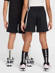 Шорти NIKE DRI-FIT SWOOSH модель FV0269-010 Фото