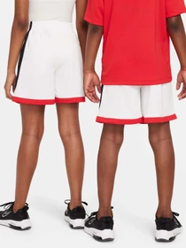 Шорты NIKE DRI-FIT TRAINING модель FV0269-100 Фото
