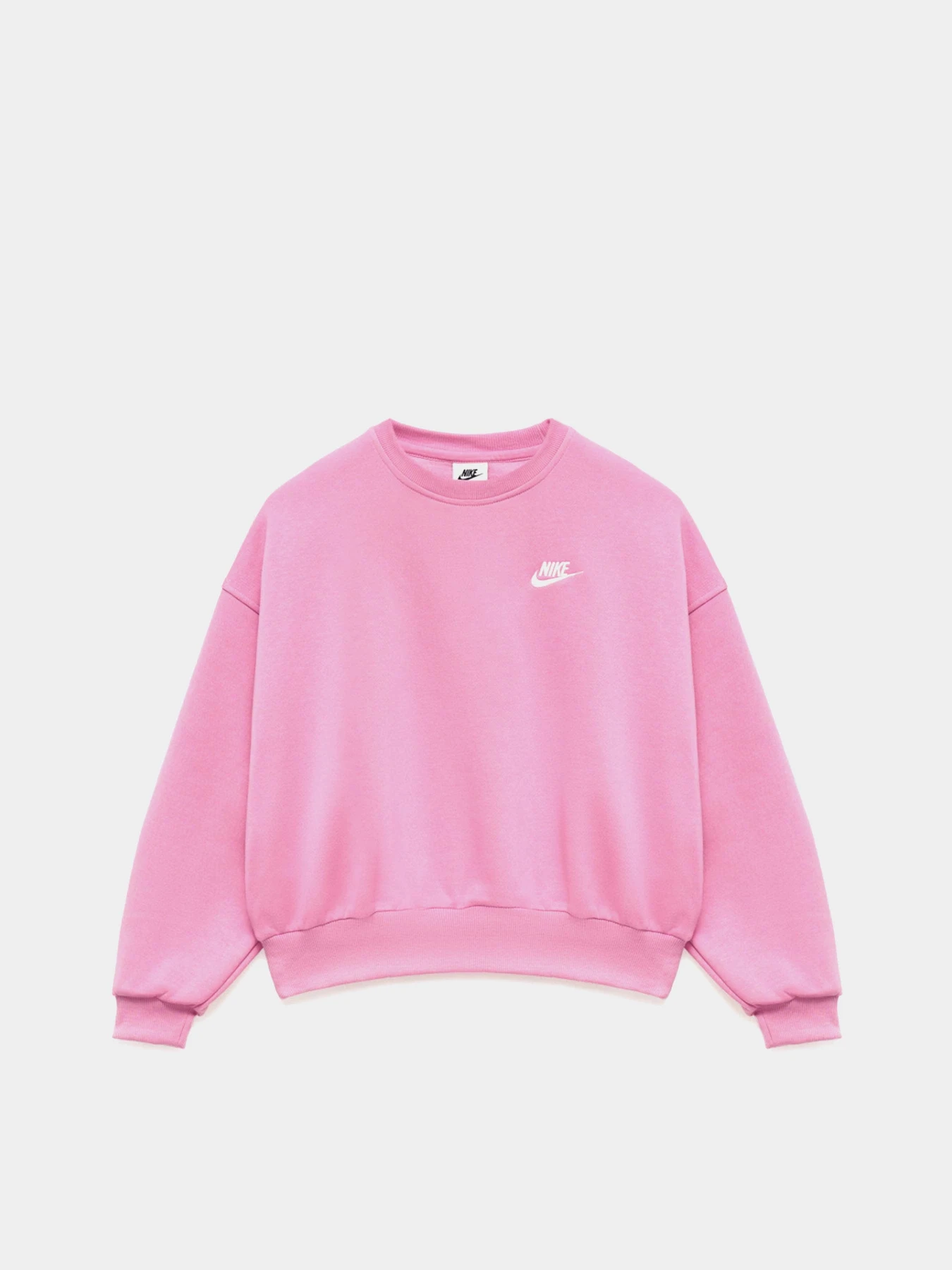 Худи и свитшоты NIKE CLUB FLEECE модель FZ9244-646 Фото