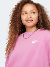 Худи и свитшоты NIKE CLUB FLEECE модель FZ9244-646 Фото