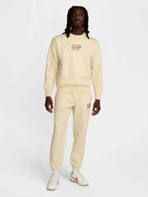 Штани NIKE SPORTSWEAR CLUB модель HJ2214-234 Фото