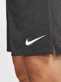 Шорты NIKE Dri-FIT модель CJ2044-032 Фото