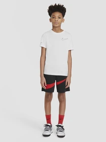 Шорты NIKE Dri-FIT модель DA0161-011 Фото