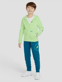 Брюки NIKE Sportswear JDI модель DB3255-301 Фото