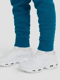 Брюки NIKE Sportswear JDI модель DB3255-301 Фото