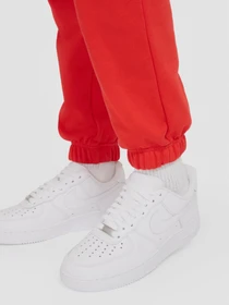 Брюки NIKE Sportswear Swoosh модель CZ8905-696 Фото