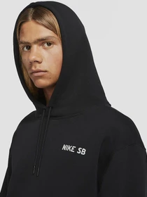 Худи и свитшоты NIKE SB модель DJ1043-010 Фото