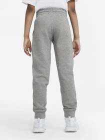 Брюки NIKE Sportswear Jogger модель DA0864-091 Фото