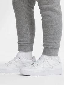 Брюки NIKE Sportswear Club Fleece модель DA5116-091 Фото