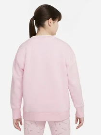 Худи и свитшоты NIKE Sportswear Club модель DD9124-663 Фото