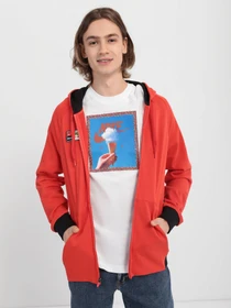Худі та світшоти NIKE M NK FC PO HOODIE FZ модель DA5577-673 Фото