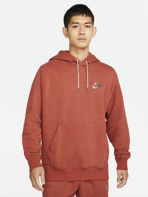 Худі та світшоти NIKE Sportswear Sport Essentials+ модель DH1033-670 Фото
