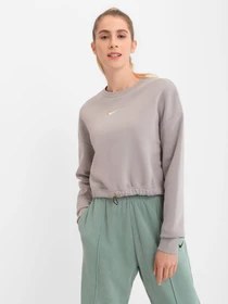 Худи и свитшоты NIKE Sportswear модель DO2574-033 Фото