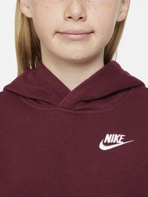 Худи и свитшоты NIKE Sportswear Pullover модель BV3757-638 Фото