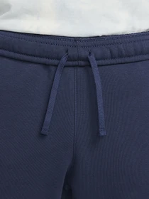 Брюки NIKE NSW CLUB PANT AS модель BV2737-410 Фото