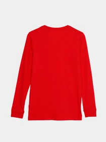 Худи и свитшоты NIKE Sportswear модель CZ1855-657 Фото